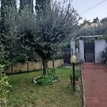Signora Minu פרוג'ה
