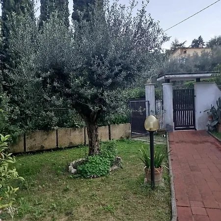 Signora Minu Perugia