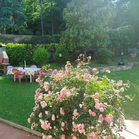 Signora Minu Bed & Breakfast