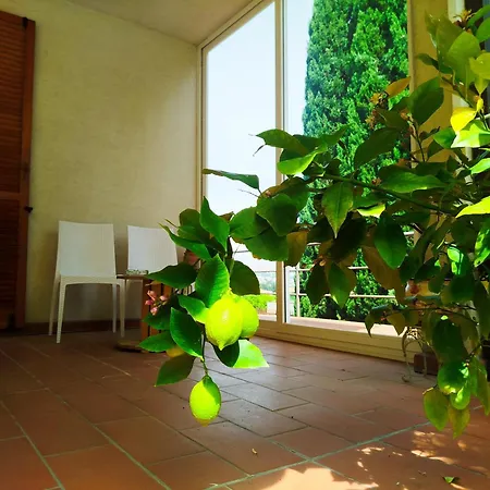 Signora Minu Bed & Breakfast Perugia