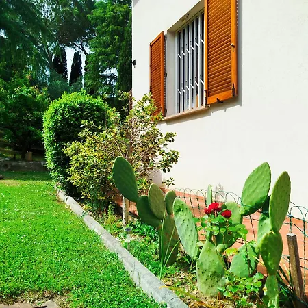 Signora Minu Bed & Breakfast *
